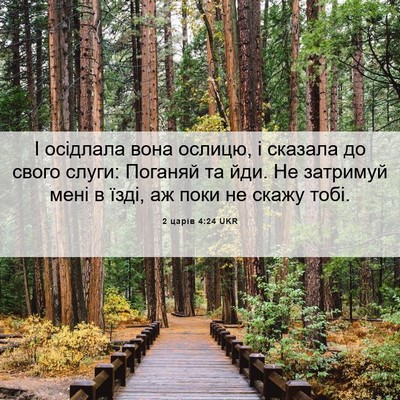 Picture 06 - 2 царів 4:24 UKR - І осідлала вона ослицю, і - Bible Verse Picture
