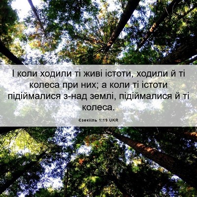 Picture 06 - Єзекіїль 1:19 UKR - І коли ходили ті живі - Bible Verse Picture