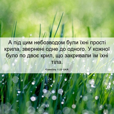 Picture 06 - Єзекіїль 1:23 UKR - А під цим небозводом були - Bible Verse Picture