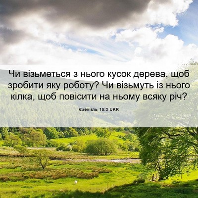 Picture 06 - Єзекіїль 15:3 UKR - Чи візьметься з нього - Bible Verse Picture