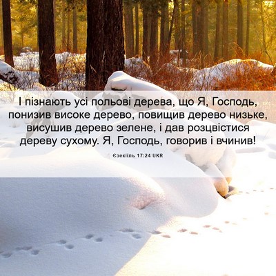 Picture 06 - Єзекіїль 17:24 UKR - І пізнають усі польові - Bible Verse Picture