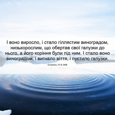 Picture 06 - Єзекіїль 17:6 UKR - І воно виросло, і стало - Bible Verse Picture