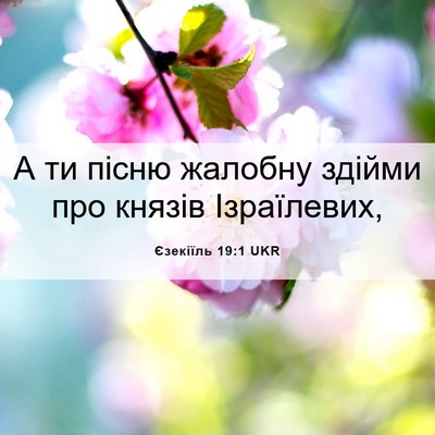 Picture 06 - Єзекіїль 19:1 UKR - А ти пісню жалобну здійми - Bible Verse Picture