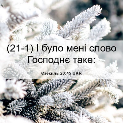 Picture 06 - Єзекіїль 20:45 UKR - (21-1) І було мені слово - Bible Verse Picture