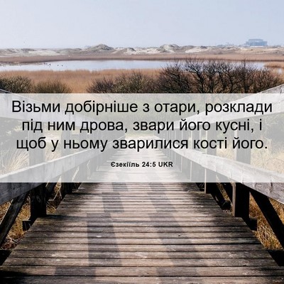 Picture 06 - Єзекіїль 24:5 UKR - Візьми добірніше з отари, - Bible Verse Picture