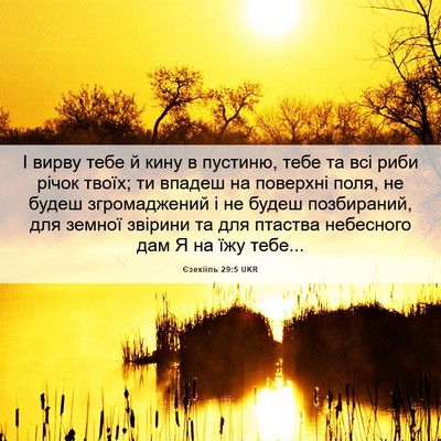 Picture 06 - Єзекіїль 29:5 UKR - І вирву тебе й кину в - Bible Verse Picture