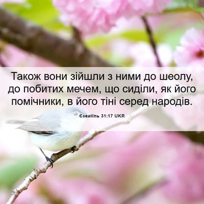 Picture 06 - Єзекіїль 31:17 UKR - Також вони зійшли з ними до - Bible Verse Picture