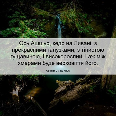 Picture 06 - Єзекіїль 31:3 UKR - Ось Ашшур, кедр на Ливані, з - Bible Verse Picture