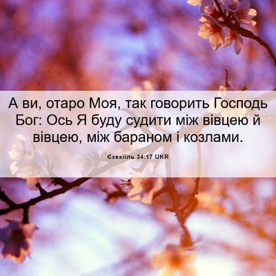 Picture 06 - Єзекіїль 34:17 UKR - А ви, отаро Моя, так - Bible Verse Picture