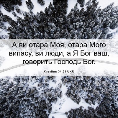 Picture 06 - Єзекіїль 34:31 UKR - А ви отара Моя, отара Мого - Bible Verse Picture