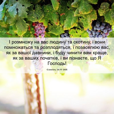 Picture 06 - Єзекіїль 36:11 UKR - І розмножу на вас людину та - Bible Verse Picture