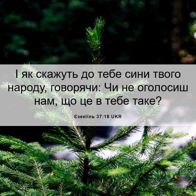 Picture 06 - Єзекіїль 37:18 UKR - І як скажуть до тебе сини - Bible Verse Picture