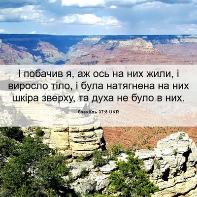Picture 06 - Єзекіїль 37:8 UKR - І побачив я, аж ось на них - Bible Verse Picture
