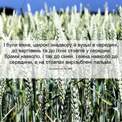 Picture 06 - Єзекіїль 40:16 UKR - І були вікна, широкі - Bible Verse Picture