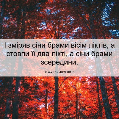 Picture 06 - Єзекіїль 40:9 UKR - І зміряв сіни брами вісім - Bible Verse Picture
