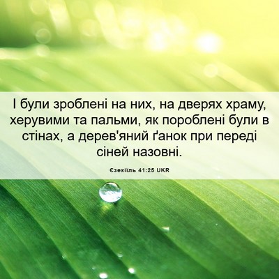 Picture 06 - Єзекіїль 41:25 UKR - І були зроблені на них, на - Bible Verse Picture