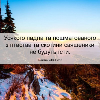 Picture 06 - Єзекіїль 44:31 UKR - Усякого падла та - Bible Verse Picture