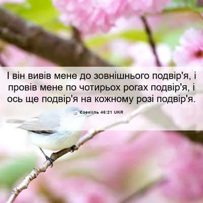 Picture 06 - Єзекіїль 46:21 UKR - І він вивів мене до - Bible Verse Picture
