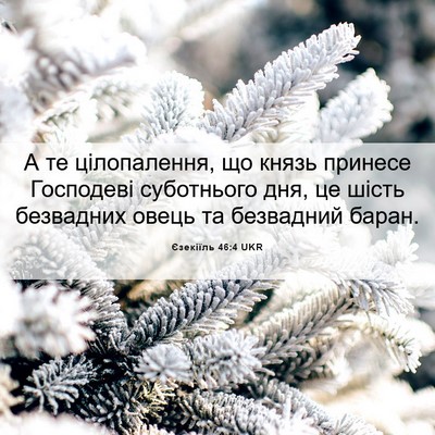 Picture 06 - Єзекіїль 46:4 UKR - А те цілопалення, що князь - Bible Verse Picture