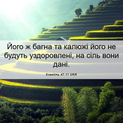 Picture 06 - Єзекіїль 47:11 UKR - Його ж багна та калюжі його - Bible Verse Picture