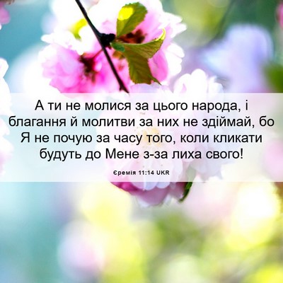 Picture 06 - Єремія 11:14 UKR - А ти не молися за цього - Bible Verse Picture