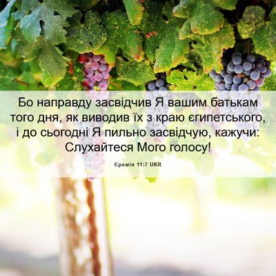 Picture 06 - Єремія 11:7 UKR - Бо направду засвідчив Я - Bible Verse Picture