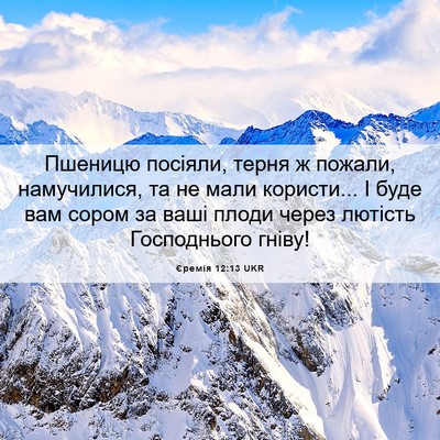 Picture 06 - Єремія 12:13 UKR - Пшеницю посіяли, терня ж - Bible Verse Picture