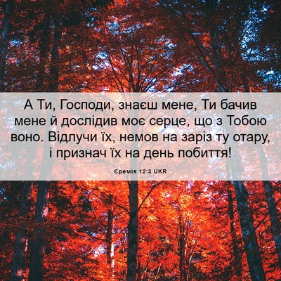 Picture 06 - Єремія 12:3 UKR - А Ти, Господи, знаєш мене, - Bible Verse Picture