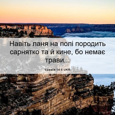 Picture 06 - Єремія 14:5 UKR - Навіть ланя на полі - Bible Verse Picture