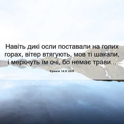 Picture 06 - Єремія 14:6 UKR - Навіть дикі осли поставали - Bible Verse Picture