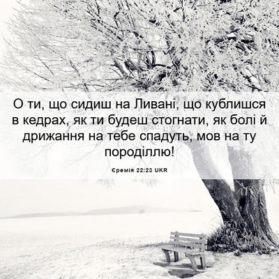 Picture 06 - Єремія 22:23 UKR - О ти, що сидиш на Ливані, що - Bible Verse Picture