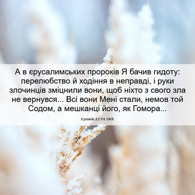Picture 06 - Єремія 23:14 UKR - А в єрусалимських пророків - Bible Verse Picture
