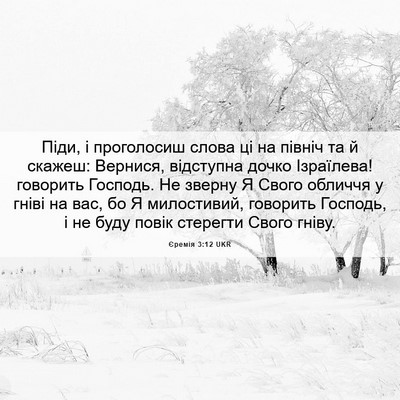 Picture 06 - Єремія 3:12 UKR - Піди, і проголосиш слова ці - Bible Verse Picture