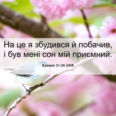 Picture 06 - Єремія 31:26 UKR - На це я збудився й побачив, - Bible Verse Picture
