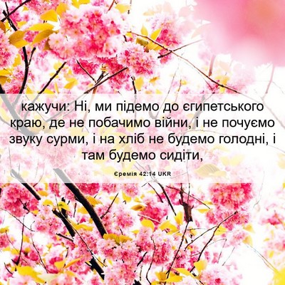 Picture 06 - Єремія 42:14 UKR - кажучи: Ні, ми підемо до - Bible Verse Picture