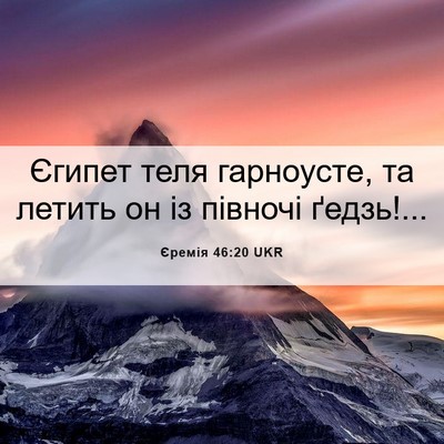 Picture 06 - Єремія 46:20 UKR - Єгипет теля гарноусте, та - Bible Verse Picture