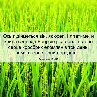 Picture 06 - Єремія 49:22 UKR - Ось підійметься він, як - Bible Verse Picture
