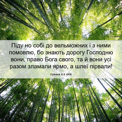 Picture 06 - Єремія 5:5 UKR - Піду но собі до вельможних - Bible Verse Picture