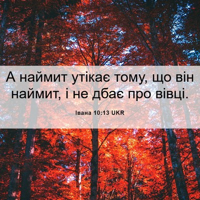 Picture 06 - Івана 10:13 UKR - А наймит утікає тому, що - Bible Verse Picture