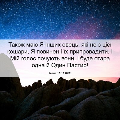 Picture 06 - Івана 10:16 UKR - Також маю Я інших овець, - Bible Verse Picture