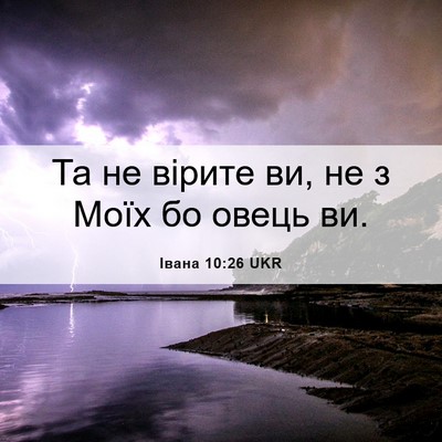 Picture 06 - Івана 10:26 UKR - Та не вірите ви, не з Моїх - Bible Verse Picture