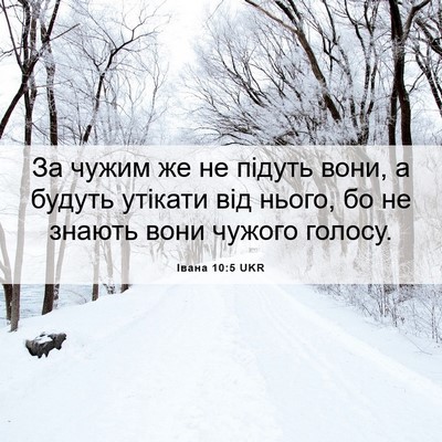 Picture 06 - Івана 10:5 UKR - За чужим же не підуть вони, - Bible Verse Picture