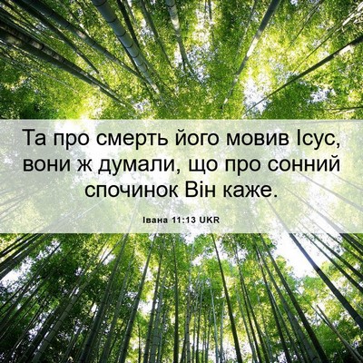 Picture 06 - Івана 11:13 UKR - Та про смерть його мовив - Bible Verse Picture