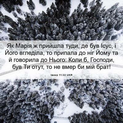 Picture 06 - Івана 11:32 UKR - Як Марія ж прийшла туди, де - Bible Verse Picture