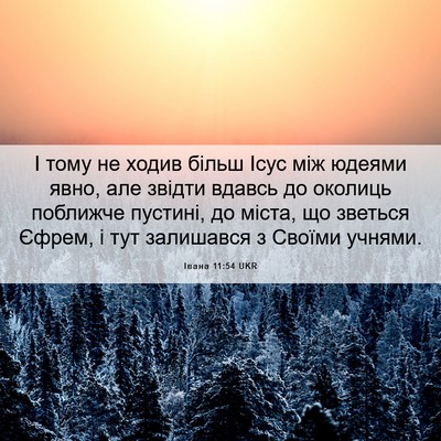Picture 06 - Івана 11:54 UKR - І тому не ходив більш Ісус - Bible Verse Picture