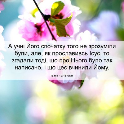 Picture 06 - Івана 12:16 UKR - А учні Його спочатку того - Bible Verse Picture