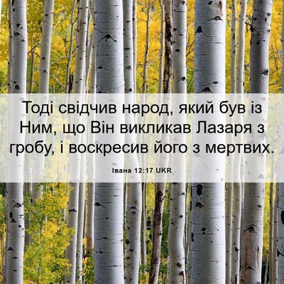 Picture 06 - Івана 12:17 UKR - Тоді свідчив народ, який - Bible Verse Picture