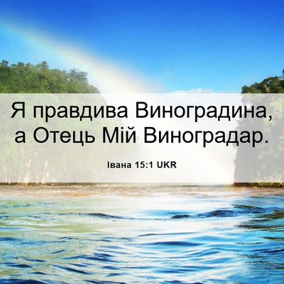 Picture 06 - Івана 15:1 UKR - Я правдива Виноградина, а - Bible Verse Picture