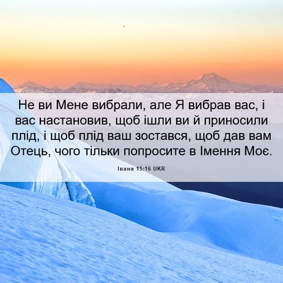 Picture 06 - Івана 15:16 UKR - Не ви Мене вибрали, але Я - Bible Verse Picture
