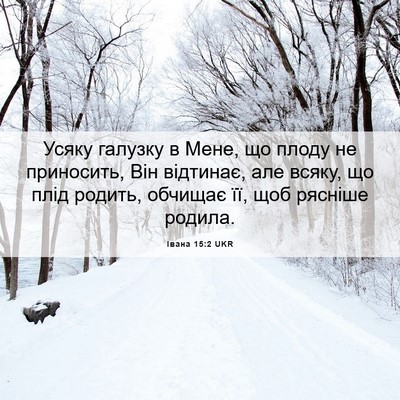 Picture 06 - Івана 15:2 UKR - Усяку галузку в Мене, що - Bible Verse Picture